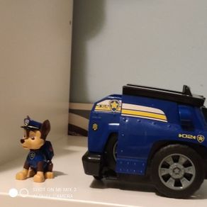 Paw Patrol