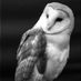 Silver Owlman