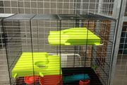 Hamster cage
