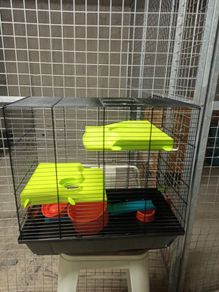 Hamster cage