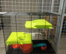 Hamster cage