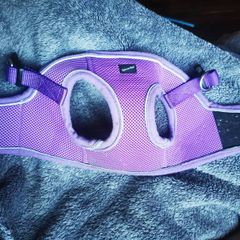 dog harness