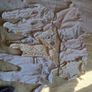 Newborn up to 1 month bundle Image 9