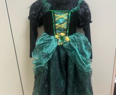 halloween costume