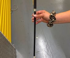 kids horse whip