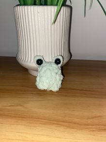 Minty the frog
