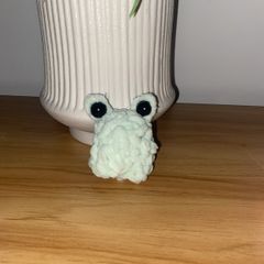 Minty the frog