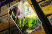 Togedemaru ! Illustration Rare ! from Phantasmal Flames Set ! 2025 ! Pokemon Card !