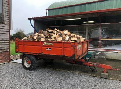 Ash hardwood firewood