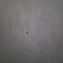 Double Mattress Image 5