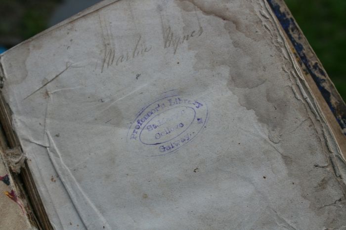 The American Orator With An Appendix, Containing The Declaration Of Independence, With The Fac-similes Of The Autographs Of The Signers, The Constitution Of The United States, Washington's Farewell Address, And Fac-similes Of The Autographs Of A Large Num