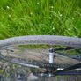 bicycle Image 4