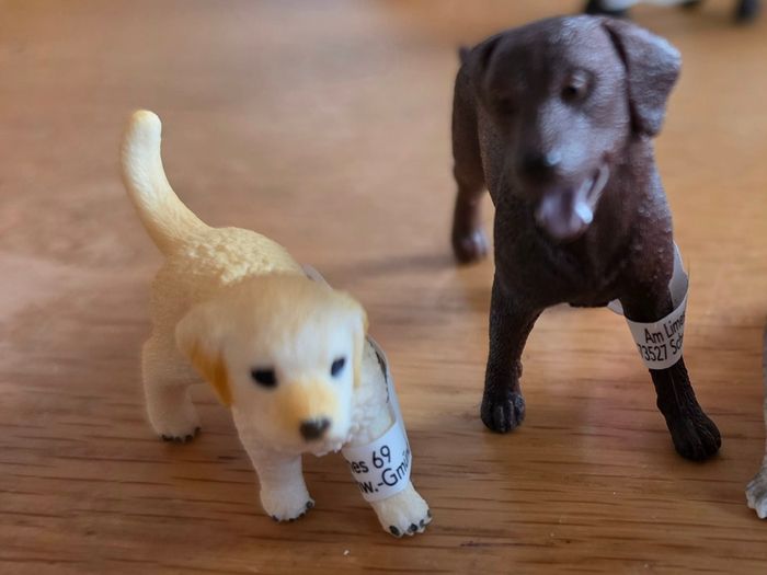 Schleich animals dogs