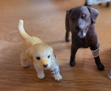 Schleich animals dogs