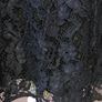 Espirit navy dress size 12 Image 9