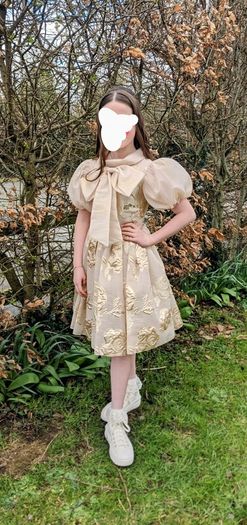 Confirmation dress