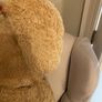 large teddy bear Image 9