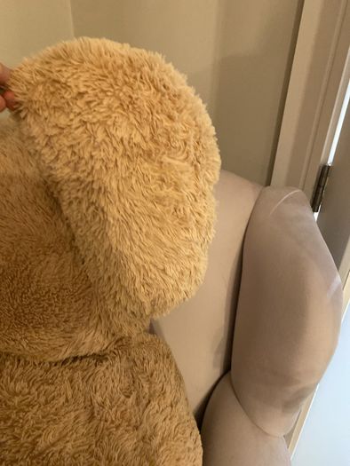 large teddy bear