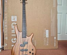 ibanez gio 200