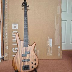 ibanez gio 200