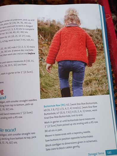 Contemporary Irish Knits/ Carol Feller