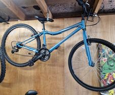 Coyote Callisto mountain bike