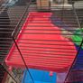 Large Hamster cage with accessories Image 2
