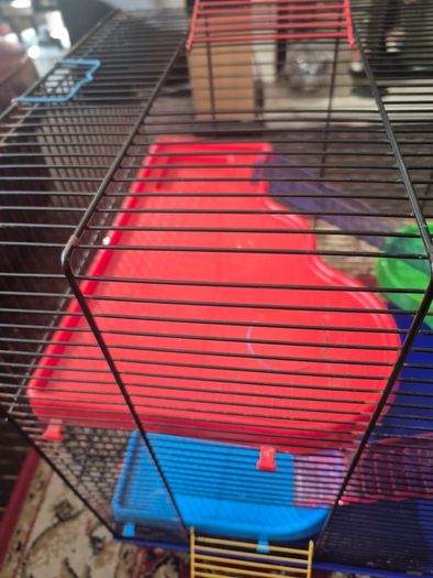Large Hamster cage with accessories