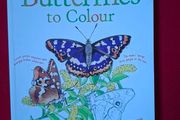 Usborne Book of Butterflies to Colour