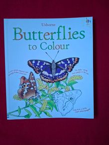 Usborne Book of Butterflies to Colour