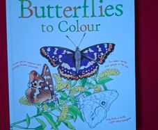 Usborne Book of Butterflies to Colour