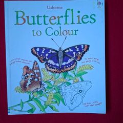 Usborne Book of Butterflies to Colour