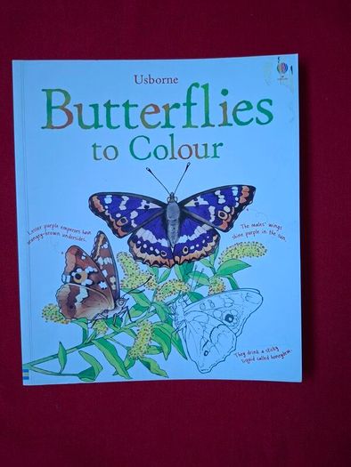 Usborne Book of Butterflies to Colour