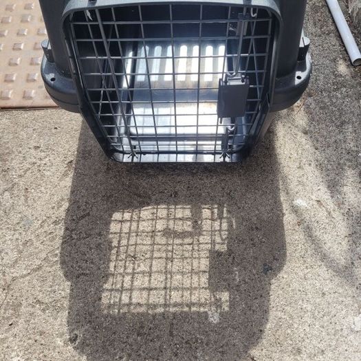 cat / dog transport