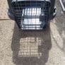 cat / dog transport Image 3