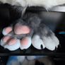 Fursuit Long Fur Husky Fox Mascot Head Party Halloween (Head + Claws) Image 4
