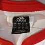 british and irish lions jersey Image 3