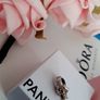 new genuine pandora Star Wars charm Image 9