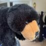 Black Bear Super Soft Teddy Image 5