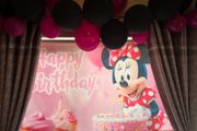 Minnie Mouse Birthday backdrop and 2 stands