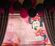 Minnie Mouse Birthday backdrop and 2 stands