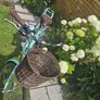 Electric Bike Image 4