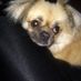 maryh1622