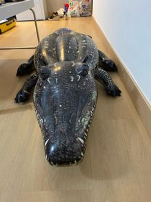 Inflatable crocodile