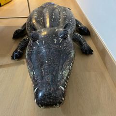 Inflatable crocodile