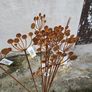 Cow parsley head steel ornament Image 3