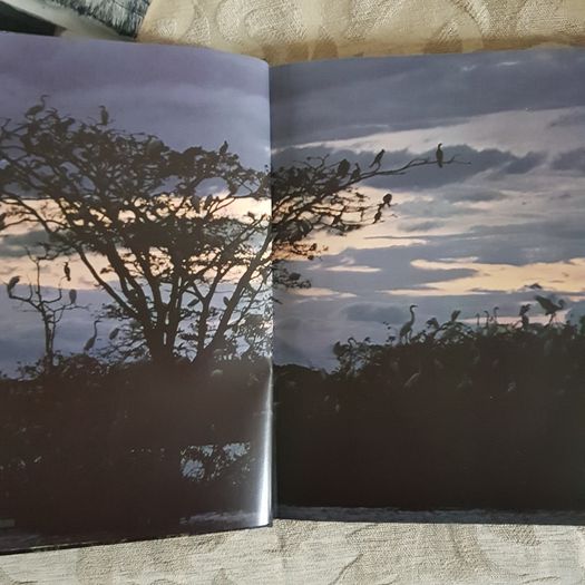 The World's Wild Places Time-life Books. 1x The Amazon.  2x Africa's Rift Valley. HARDBACK.
