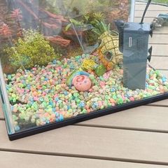 Fish tank