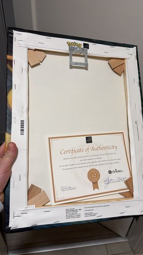 Pokemon Canvas Eve Numbered rare with coa open to trades