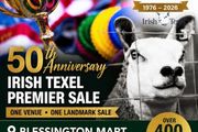 400 Texels for Sale